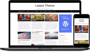 WordPress Themes